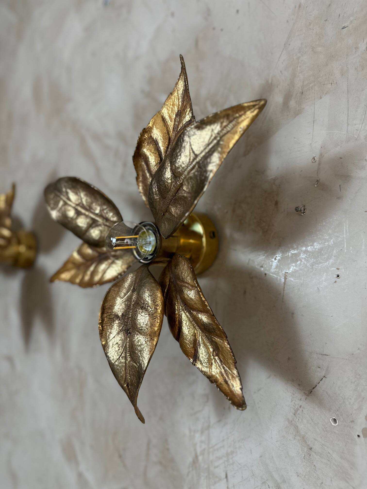 Pair of wall sconces by Willy Daro