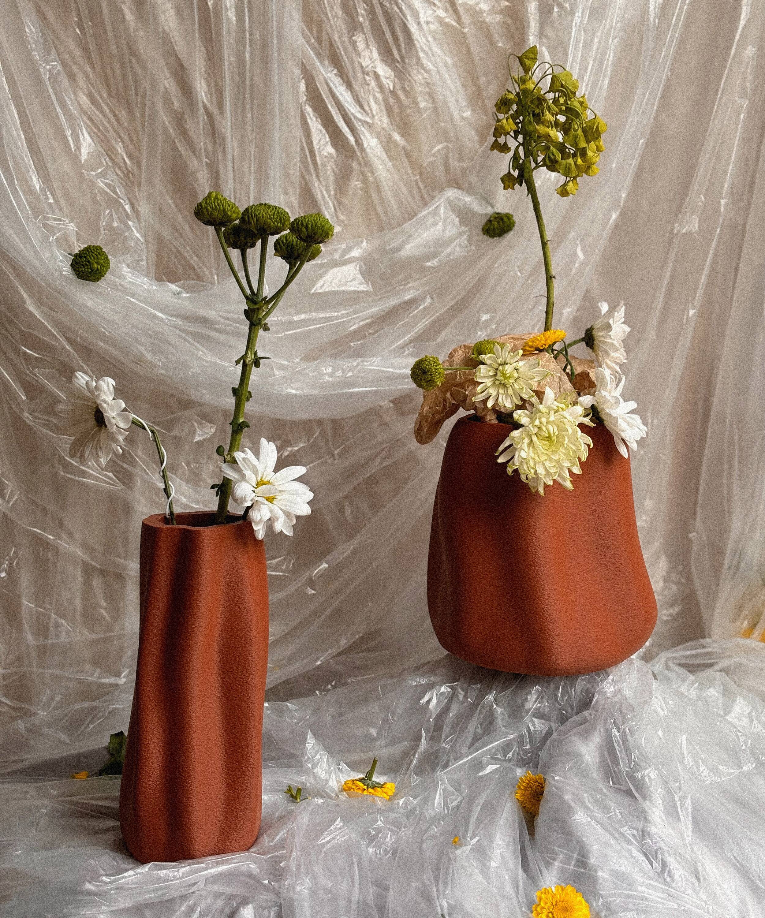 Grand vase biologique