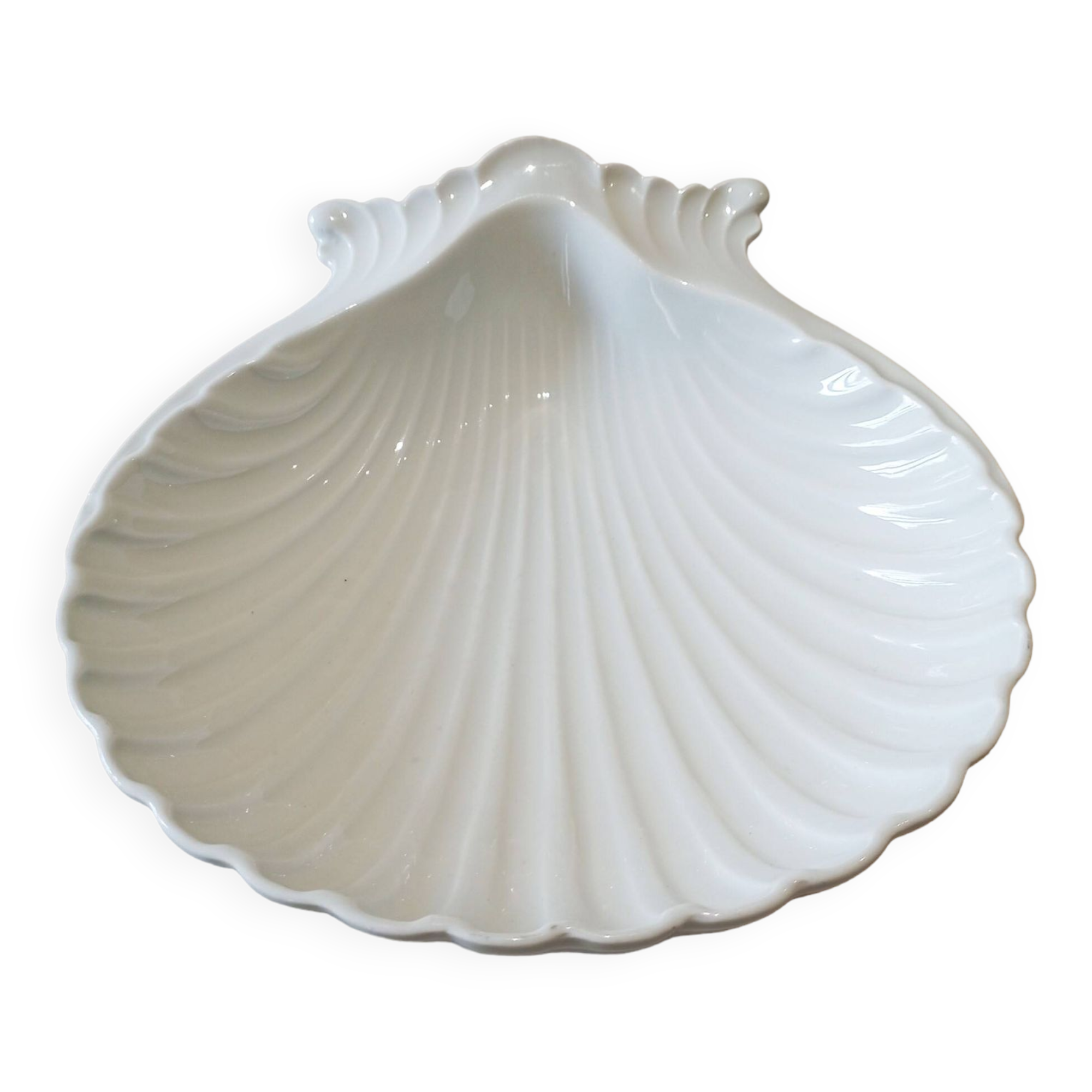 Ceramic shell dish