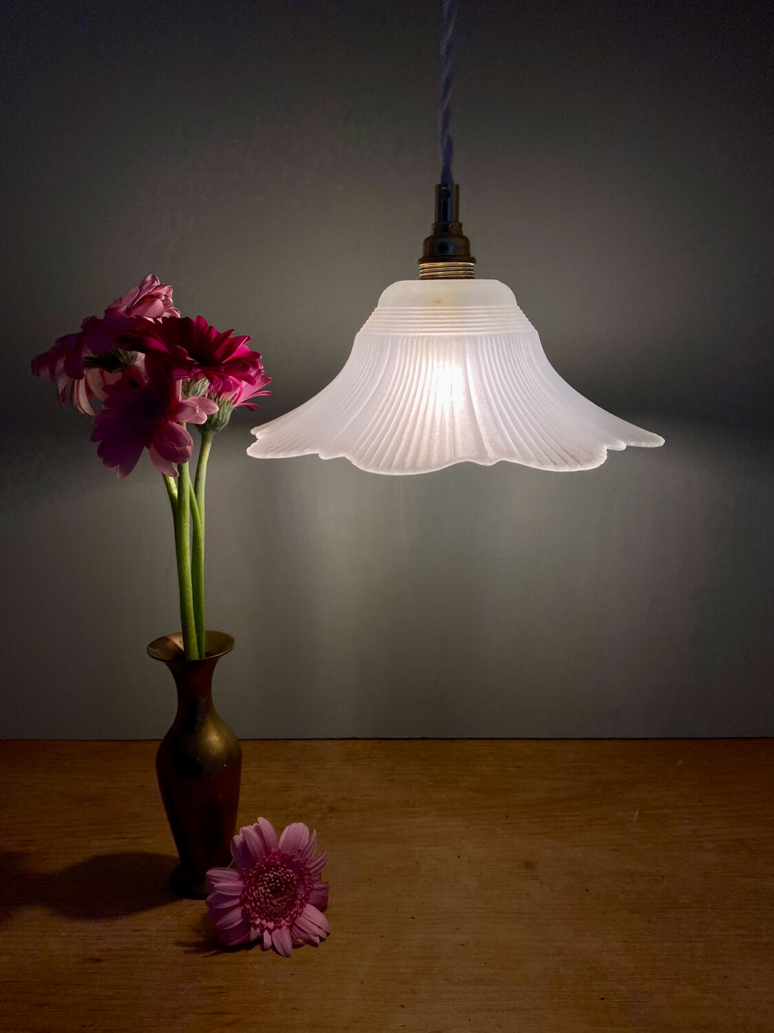 Vintage frosted glass lampshade pendant light