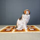 Life sized vintage glazed terracotta St Bernard dog sculpture, 1960s
