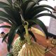 Vintage 1950s pineapple chandelier by Maison Charles.
