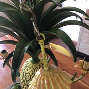 Vintage 1950s pineapple chandelier by Maison Charles.