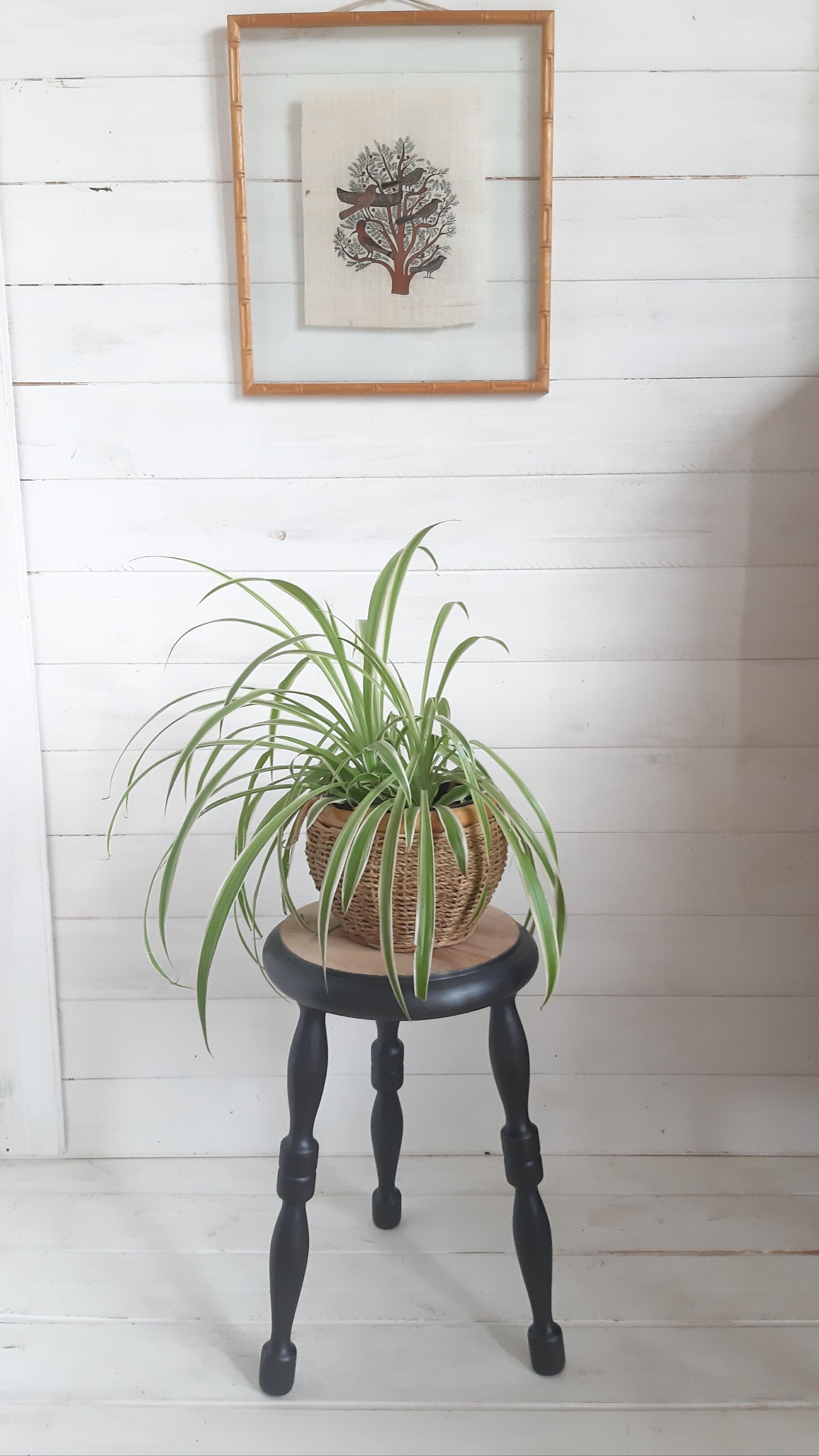 Tripod stool/ Plant holder