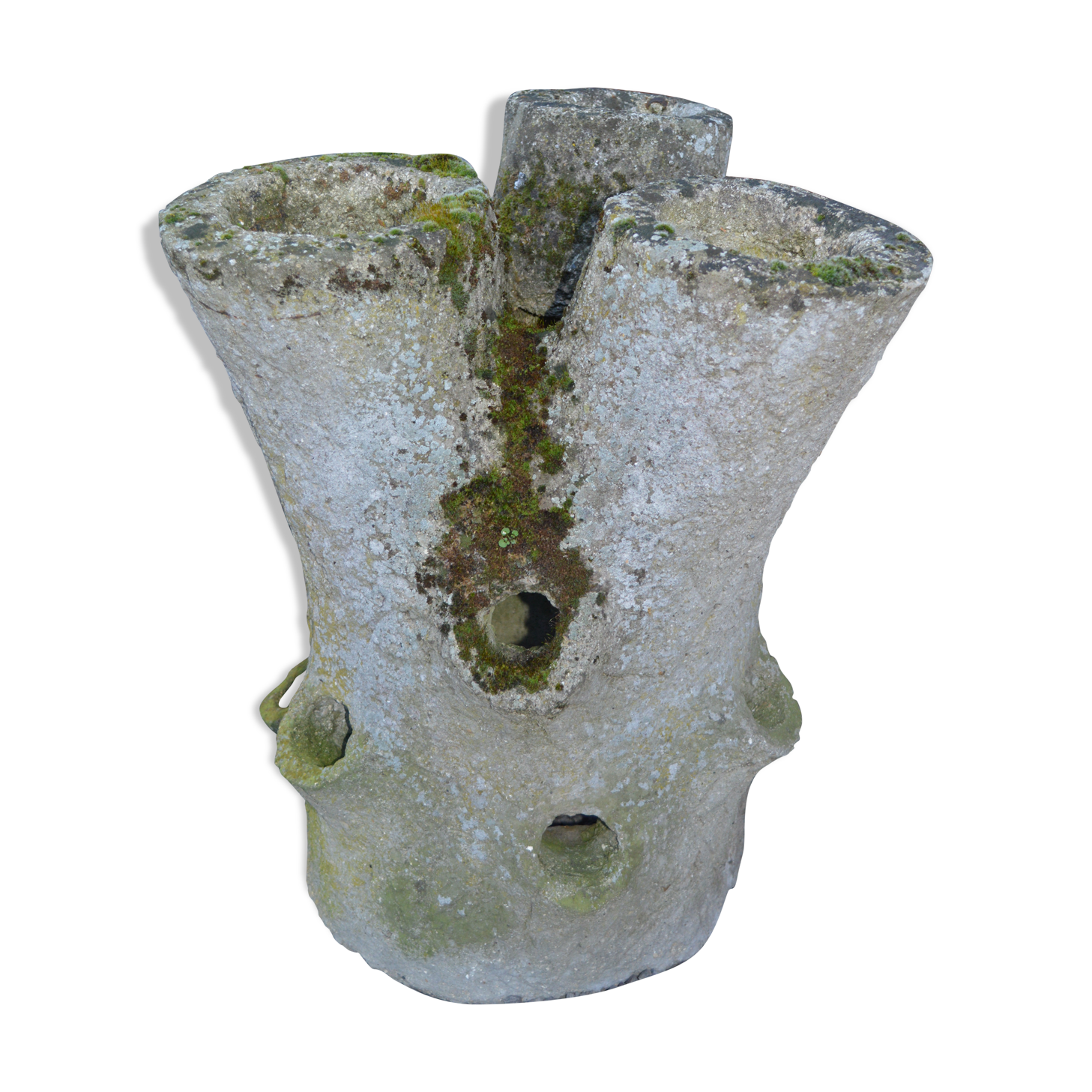 Concrete tree trunk planter