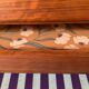 Vintage Scandinavian bookcase