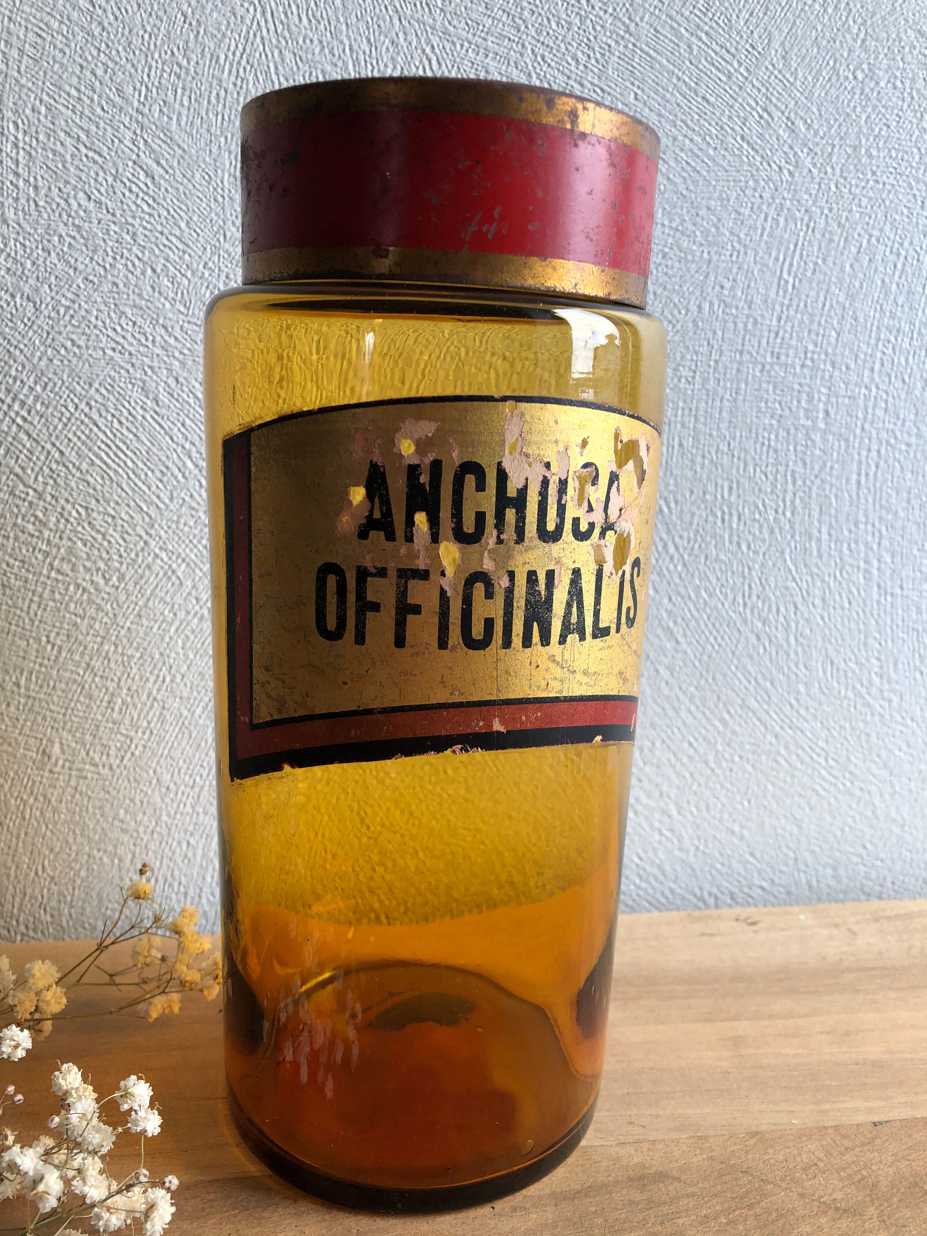 Jar "Anchusa officinalis" brown glass