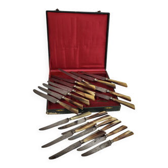 20 table knives with steel blades and horn handles