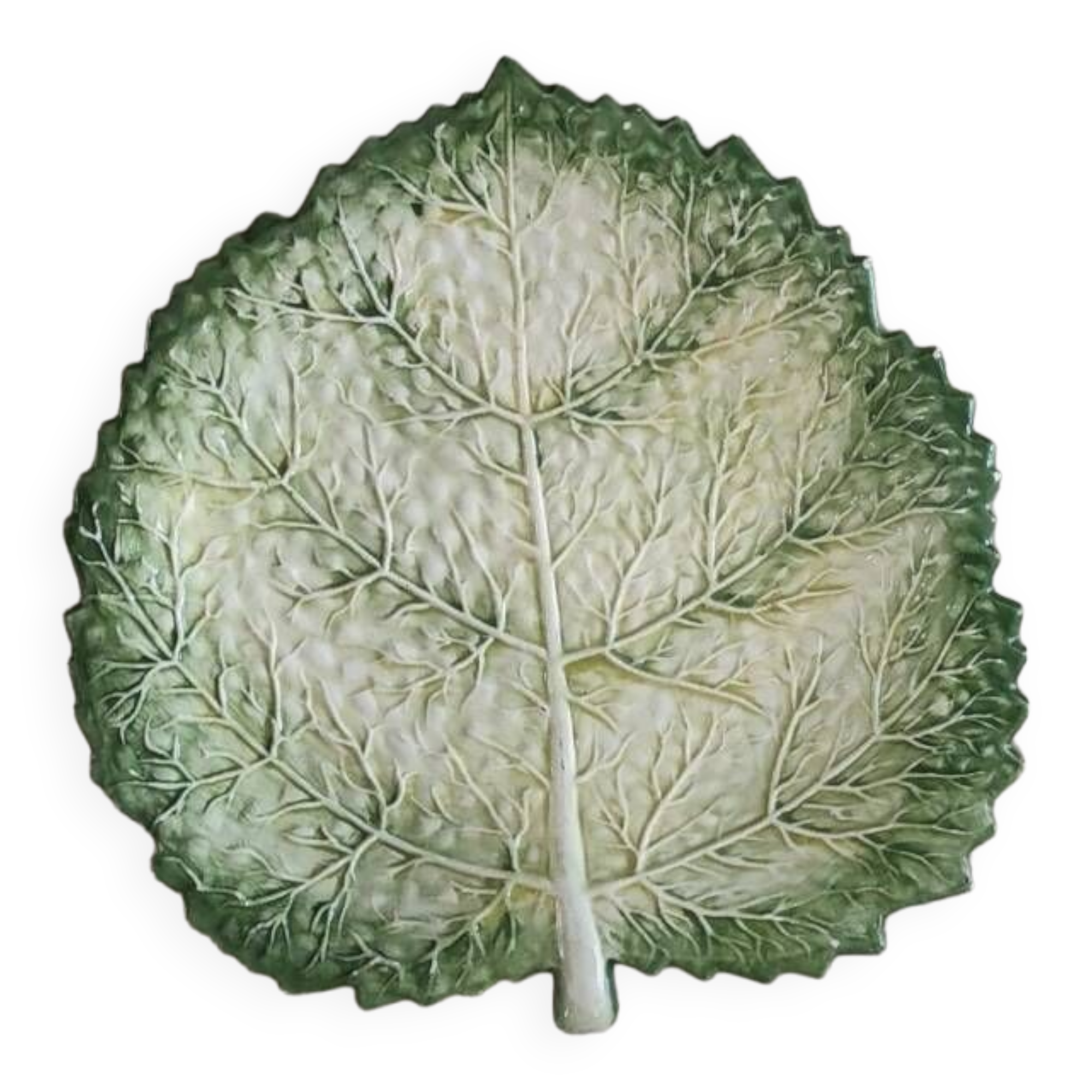 Cabbage leaf plate Barbotine