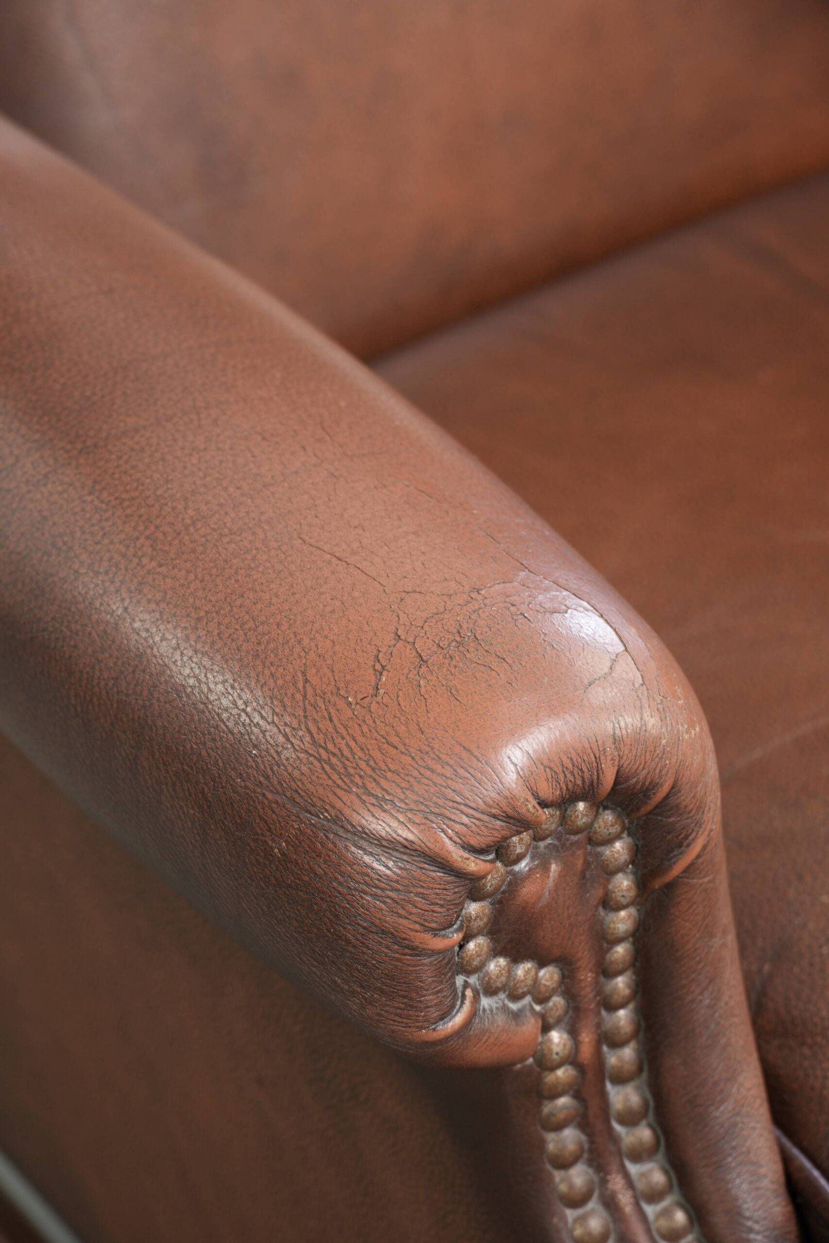 Comfortable cowhide wingback armchair in English style with a timeless look