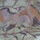 Coupe en laiton cloisonne à decor d'oiseaux grues