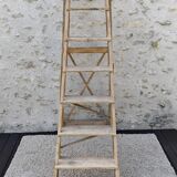 Large stepladder