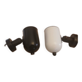 Two-tone shell appliques