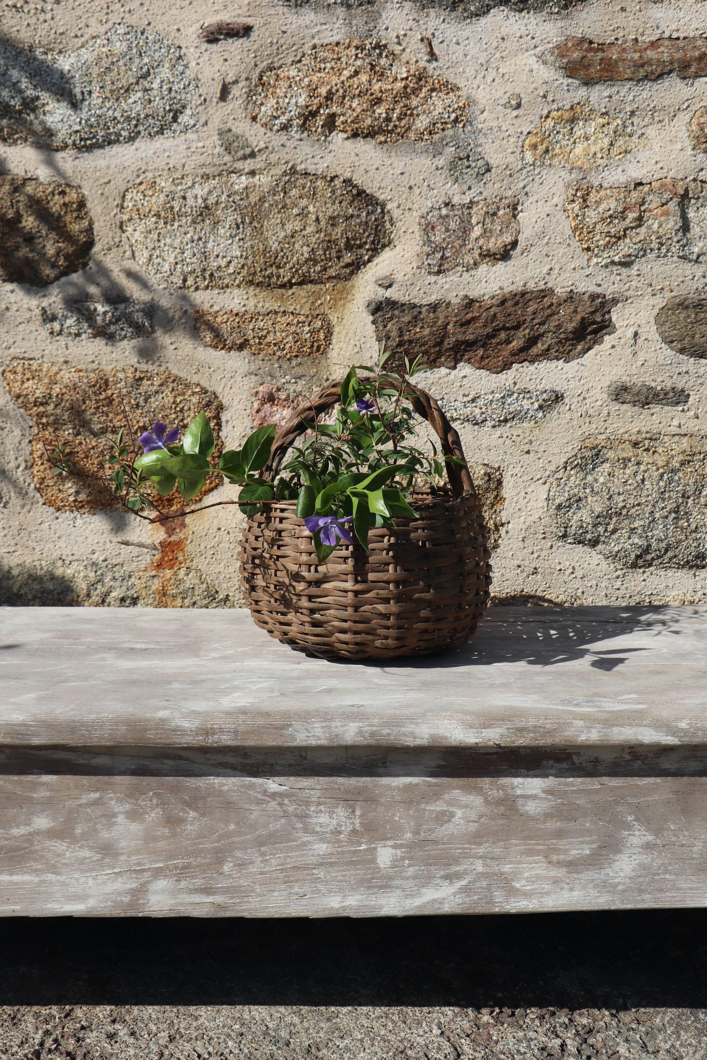 Large bench 19th solid wood patina