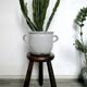 Dark wooden tripod stool