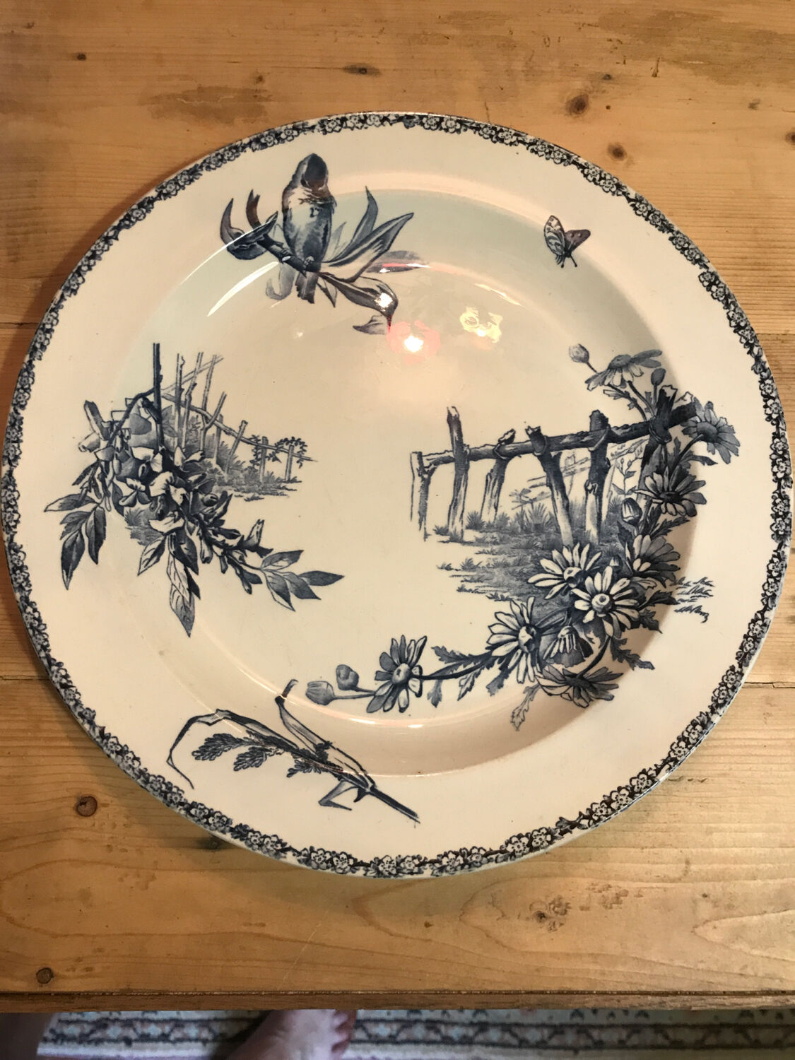 Iron earth dish Marseille