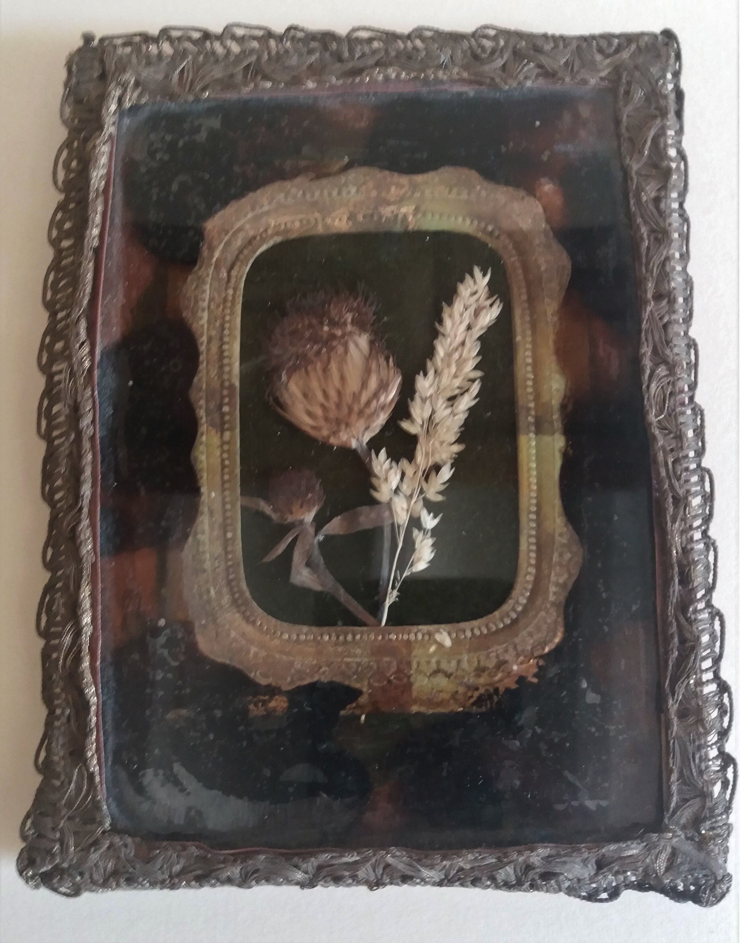 Herbarium in a nice setting