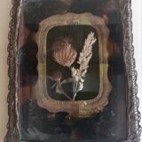 Herbarium in a nice setting