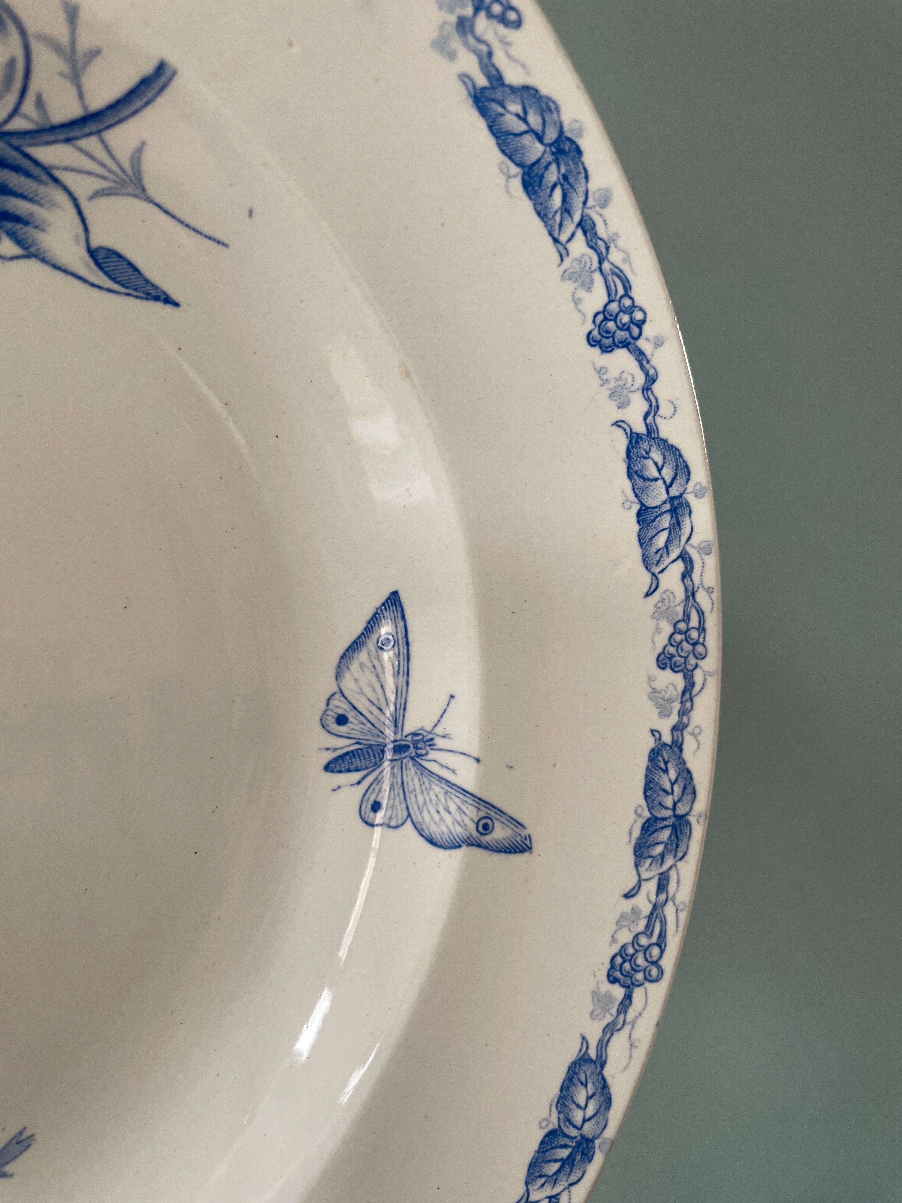 Set of 9 hollow plates 1900 "Butterfly" FF Pexonne