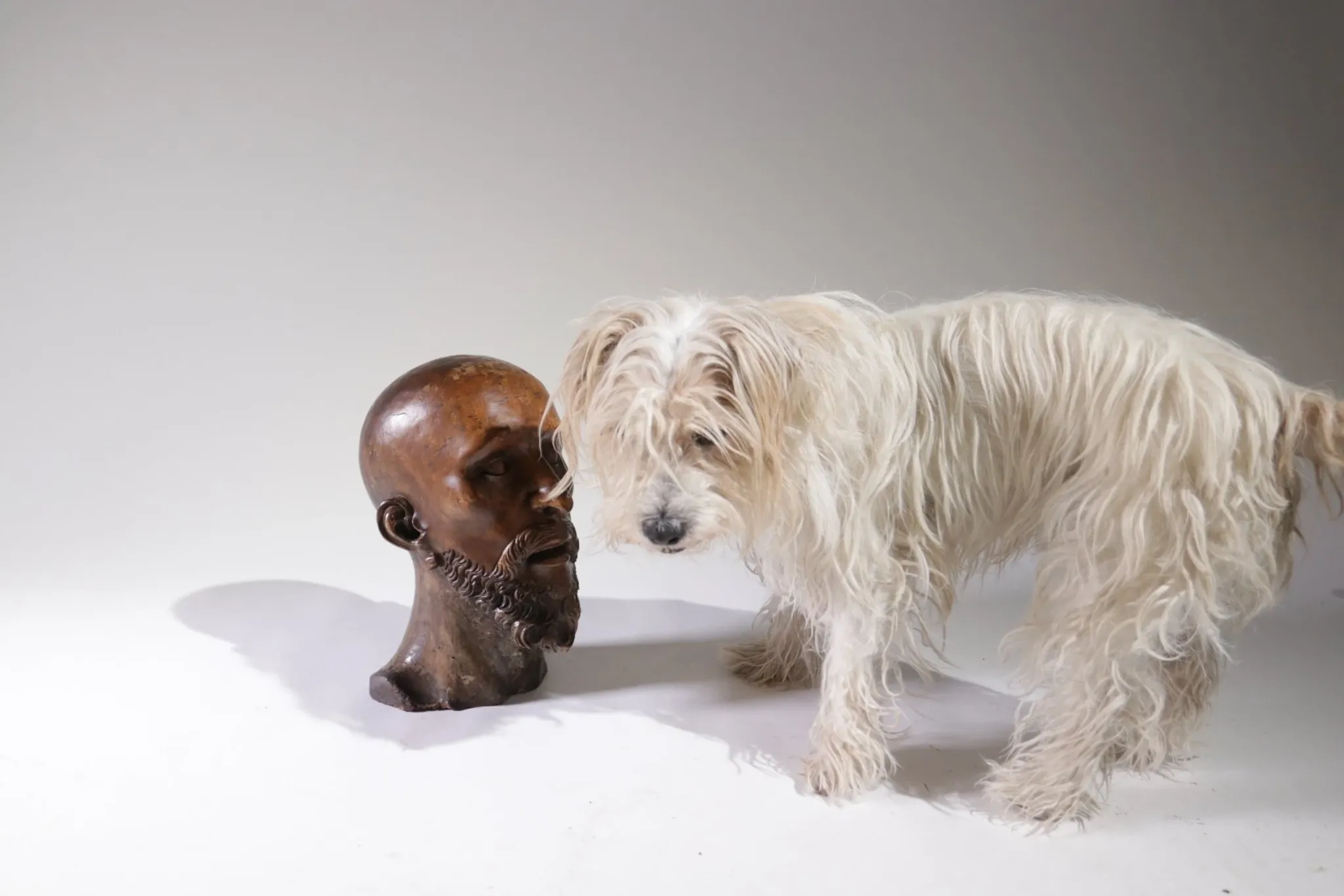 Life-size carved wooden man's head – Southern Europe, circa 1700