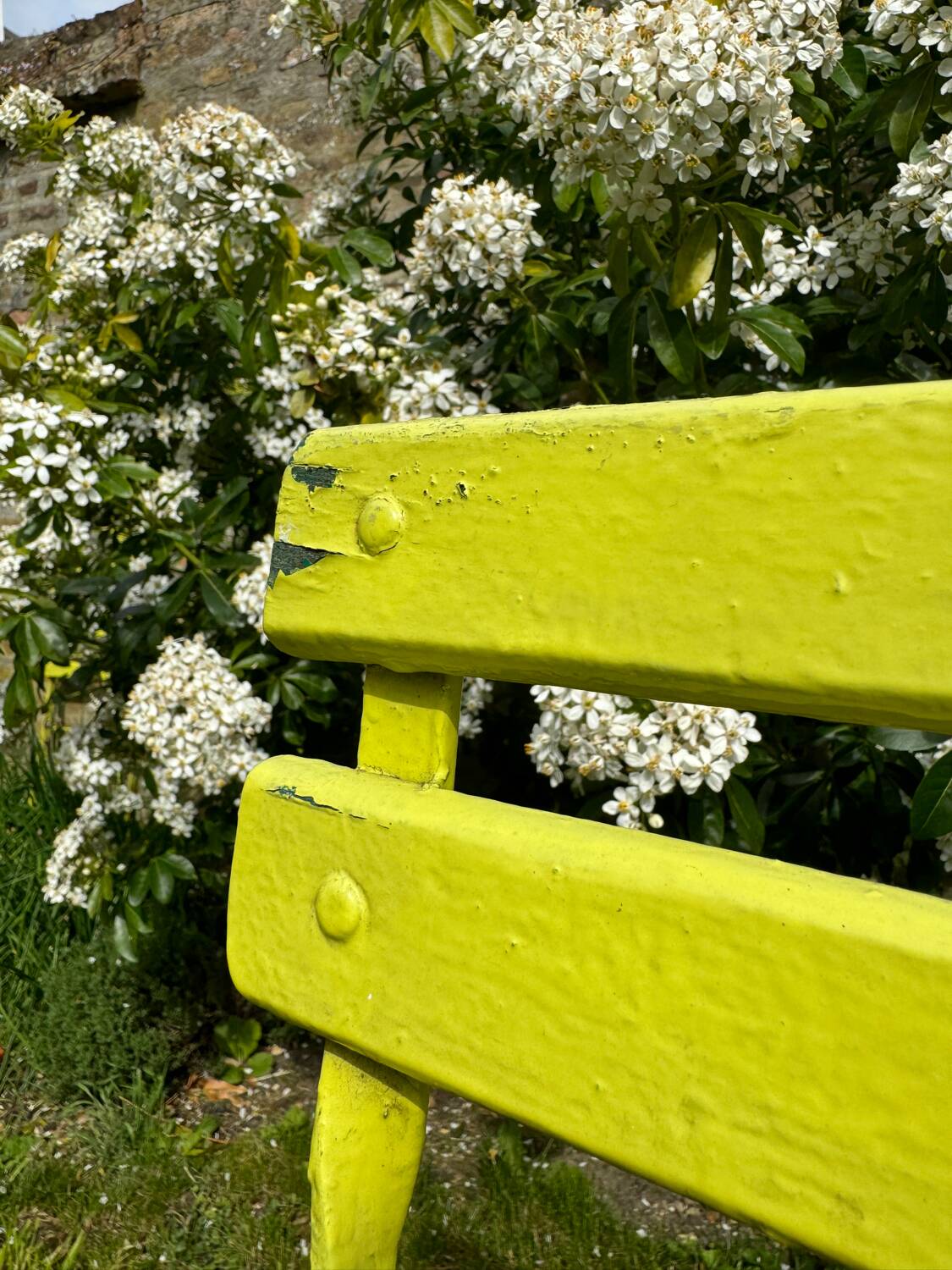 Two old folding garden chairs