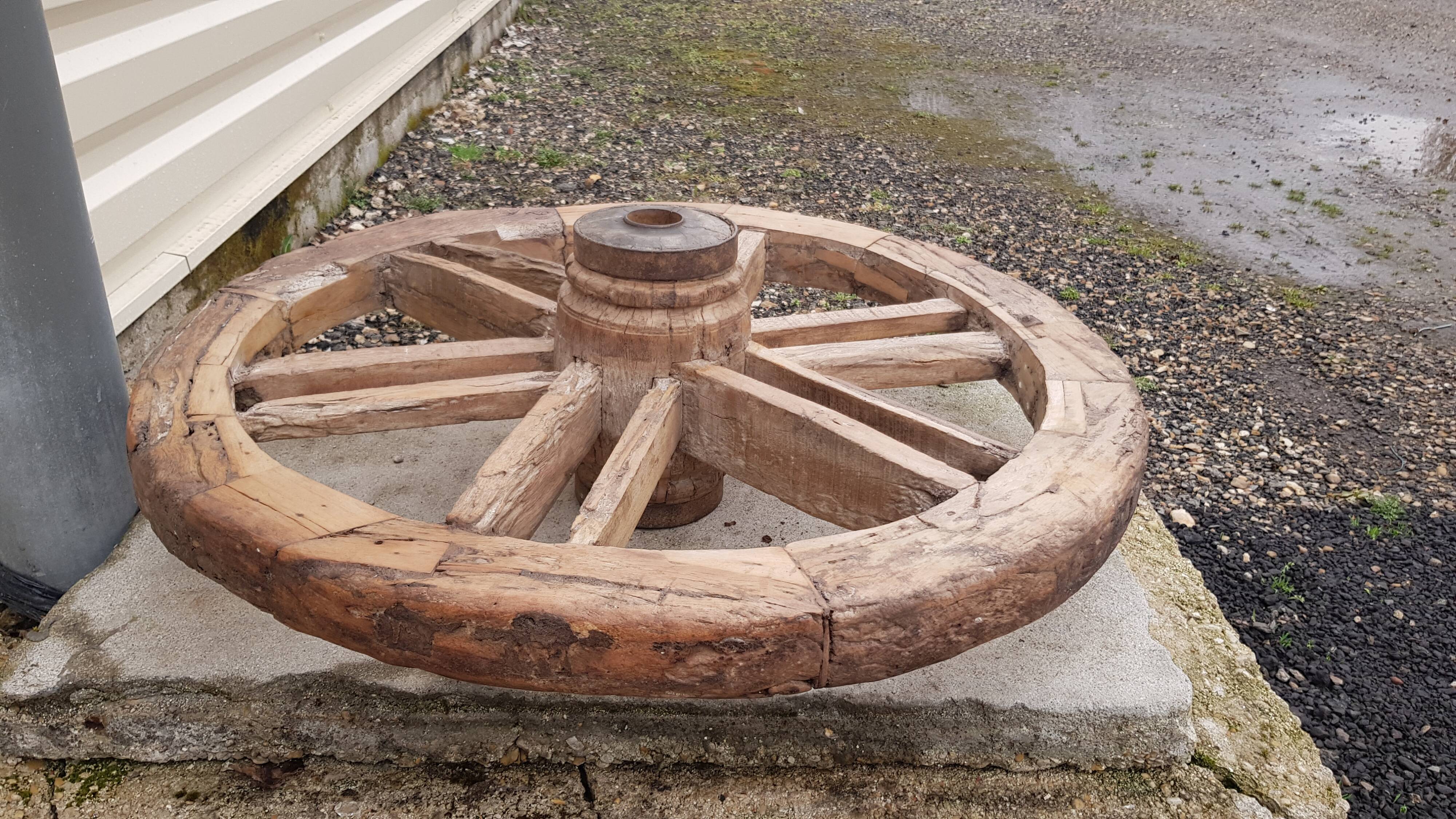 Old teak plow wheel