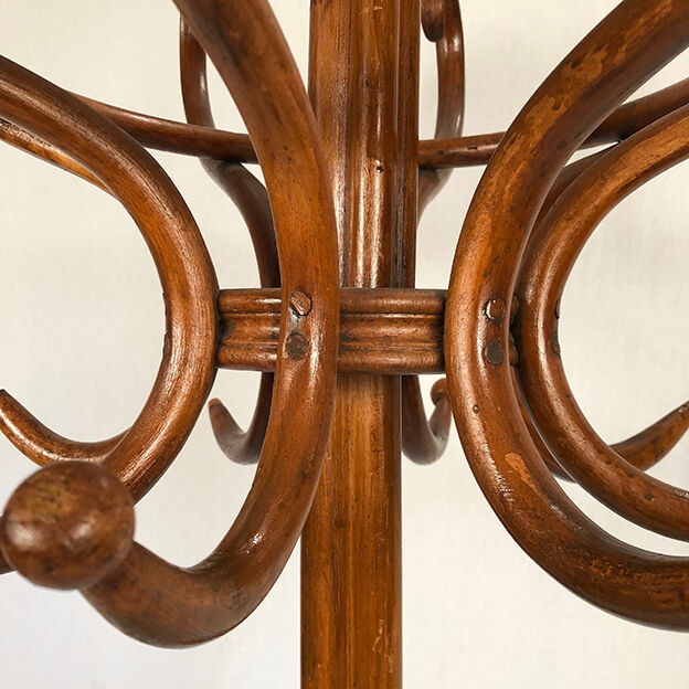 Parrot coat rack in bentwood