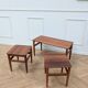 Table basse scandinave & 2 gigognes