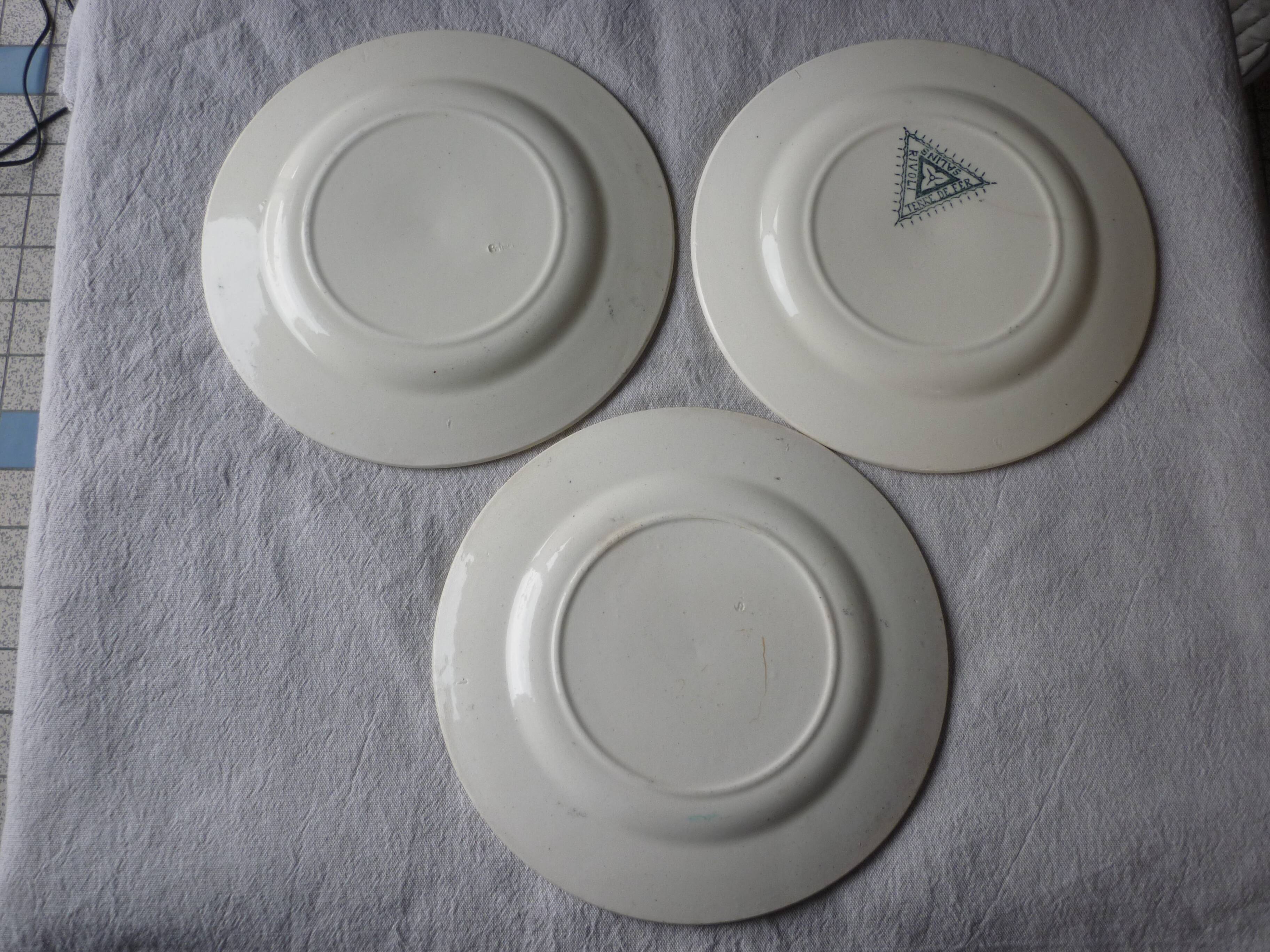 3 plates saline iron earth faience