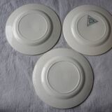 3 plates saline iron earth faience