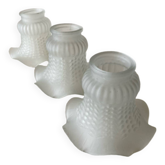 3 white frosted glass lampshade tulips with wavy crown and tight dotted body