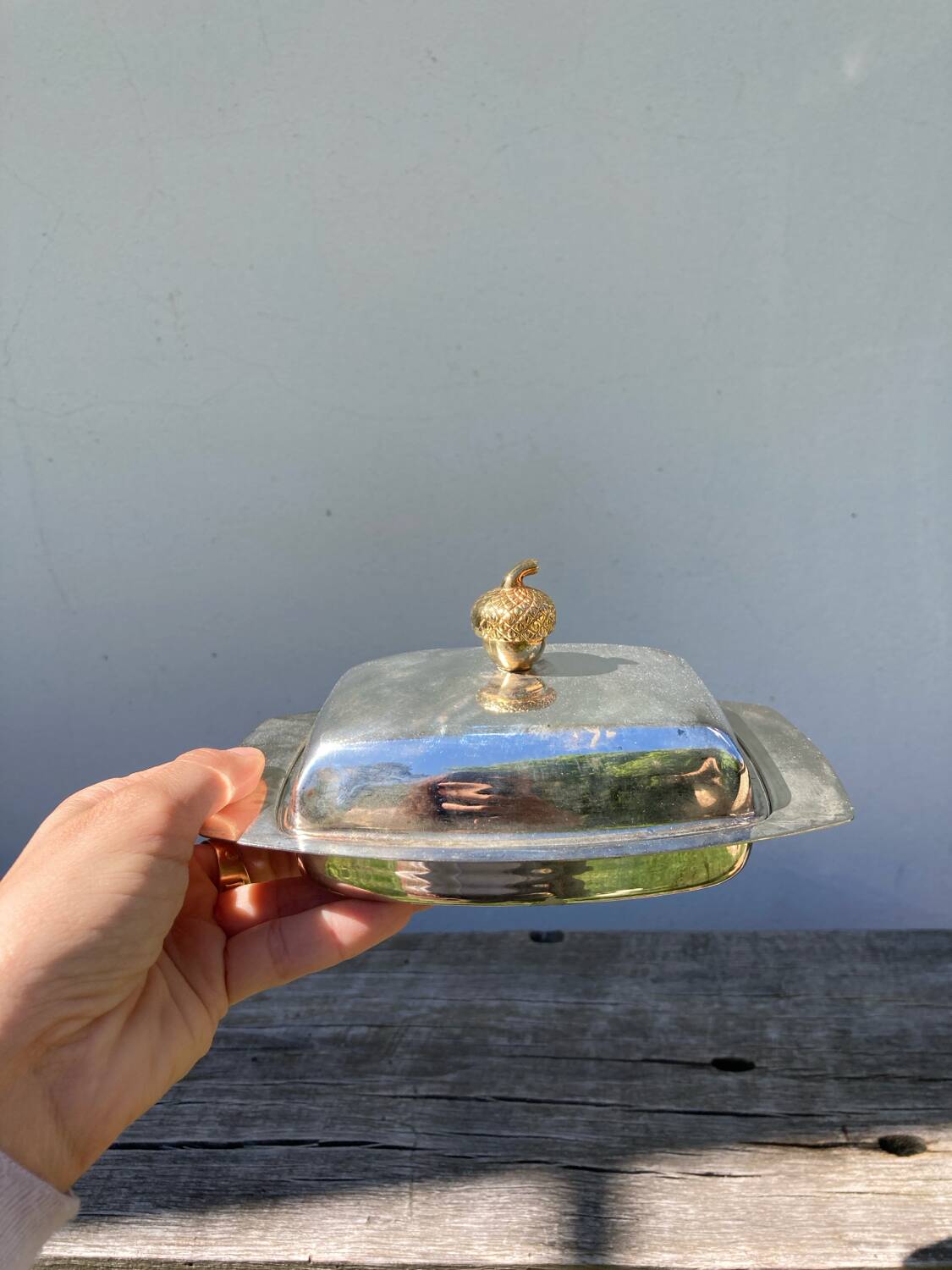 Acorn silver metal butter dish
