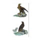 Ornithological Plate Buffon 1840 "Large Eagle & Small Eagle"