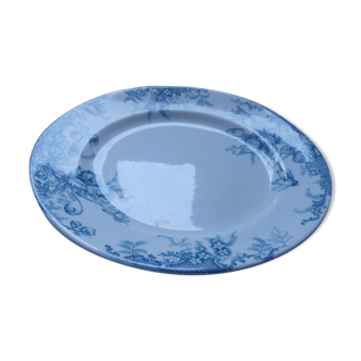 Foot shower plate