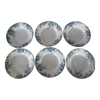 6 hollow plates St Amand & Hamage Marie Louise terre de fer