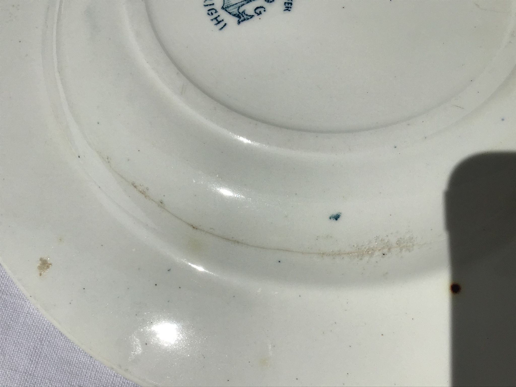 9 hollow plates Iron Earth thistles L.G Righi blue ink
