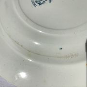 9 hollow plates Iron Earth thistles L.G Righi blue ink