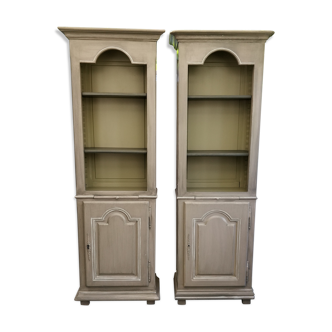 Pair of old-time-skated libraries