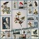 Bird board by JJ Audubon - Rufous Hummingbird - from 1978. Zoological and ornithological illustration
