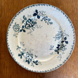 Plat St Amand Acacia