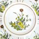 6 small white stoneware dessert plates - floral decoration - Country Charm Collection