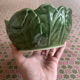 Cabbage leaf slurry