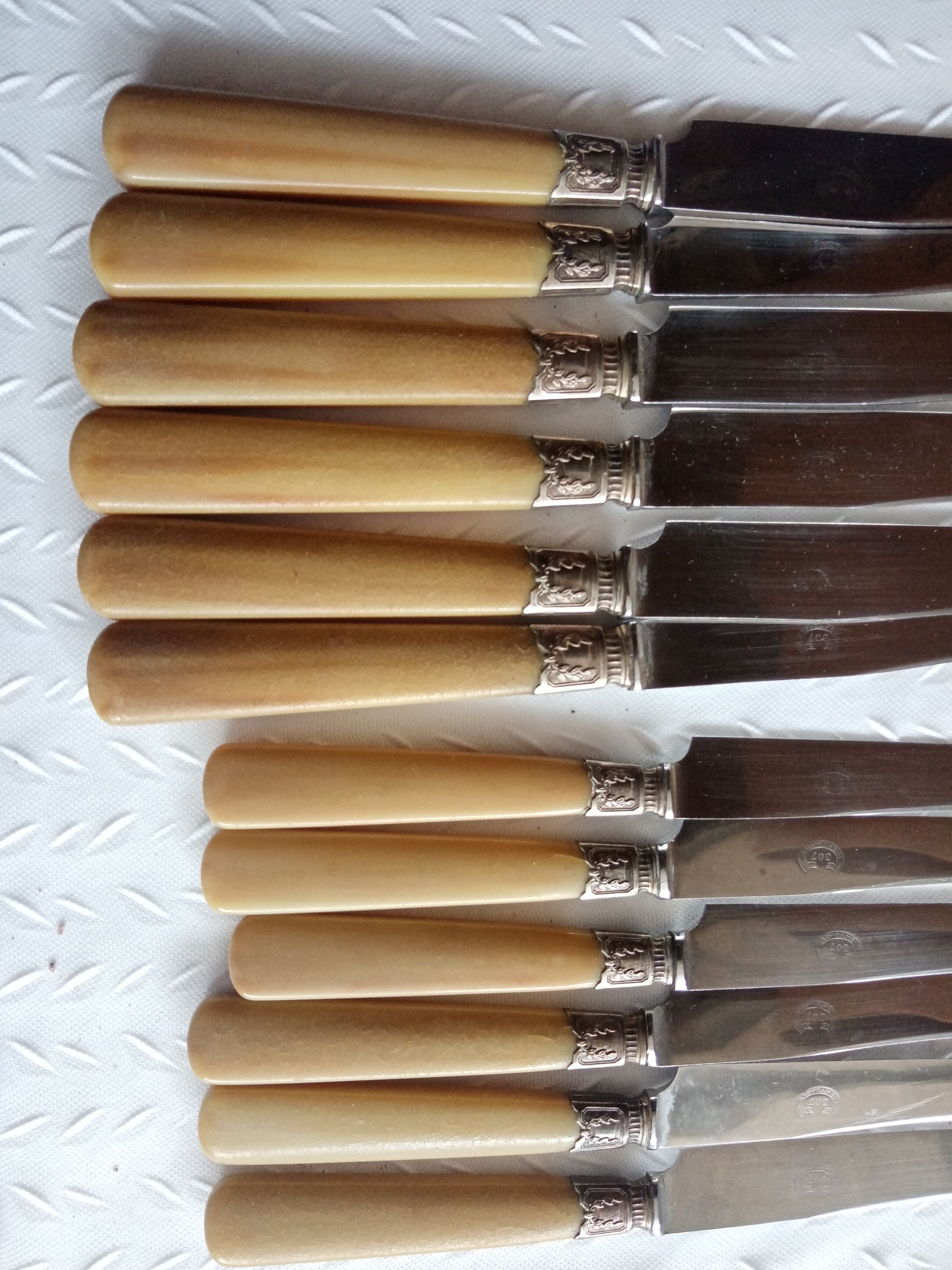 12 Old horn knives and stainless steel blades, Laurier decorative virole