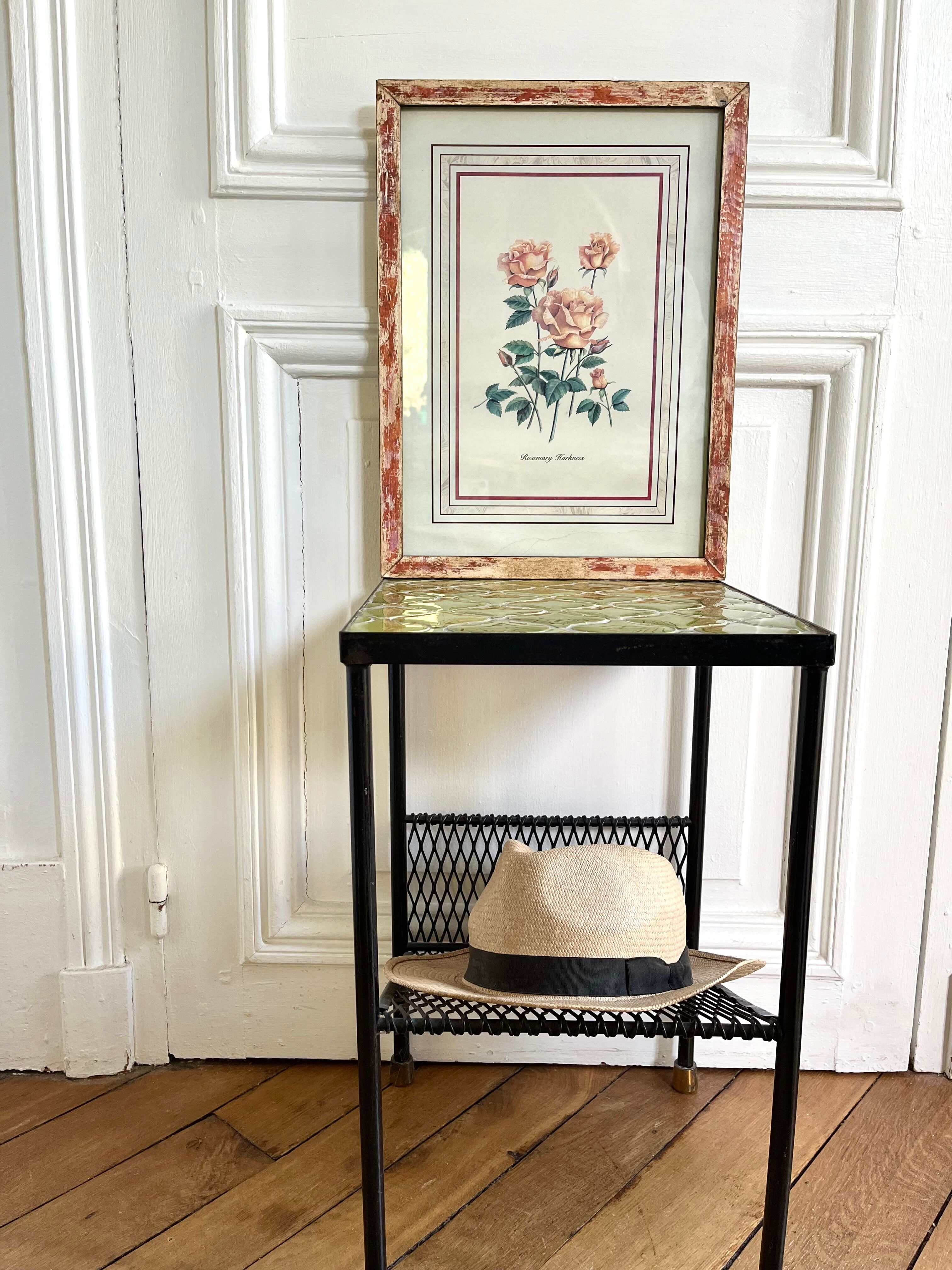 Botanical plate of roses under frame