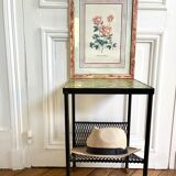 Botanical plate of roses under frame