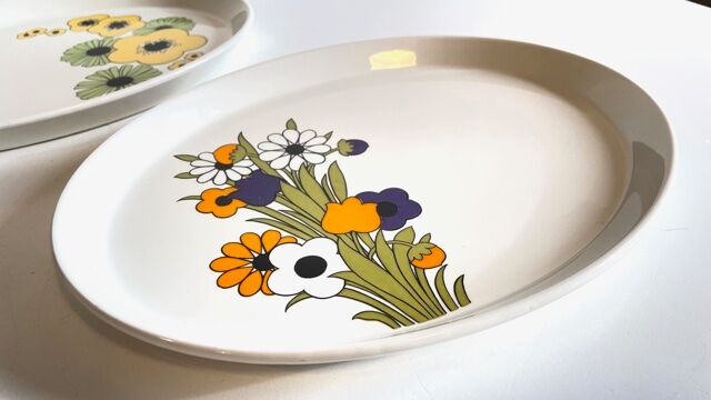 2 Oval Ceramic Dishes English