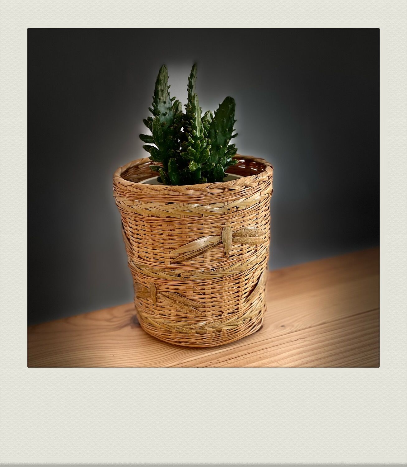 Bamboo and rattan, batch of 2 nature spirit pots
