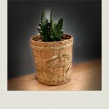 Bamboo and rattan, batch of 2 nature spirit pots