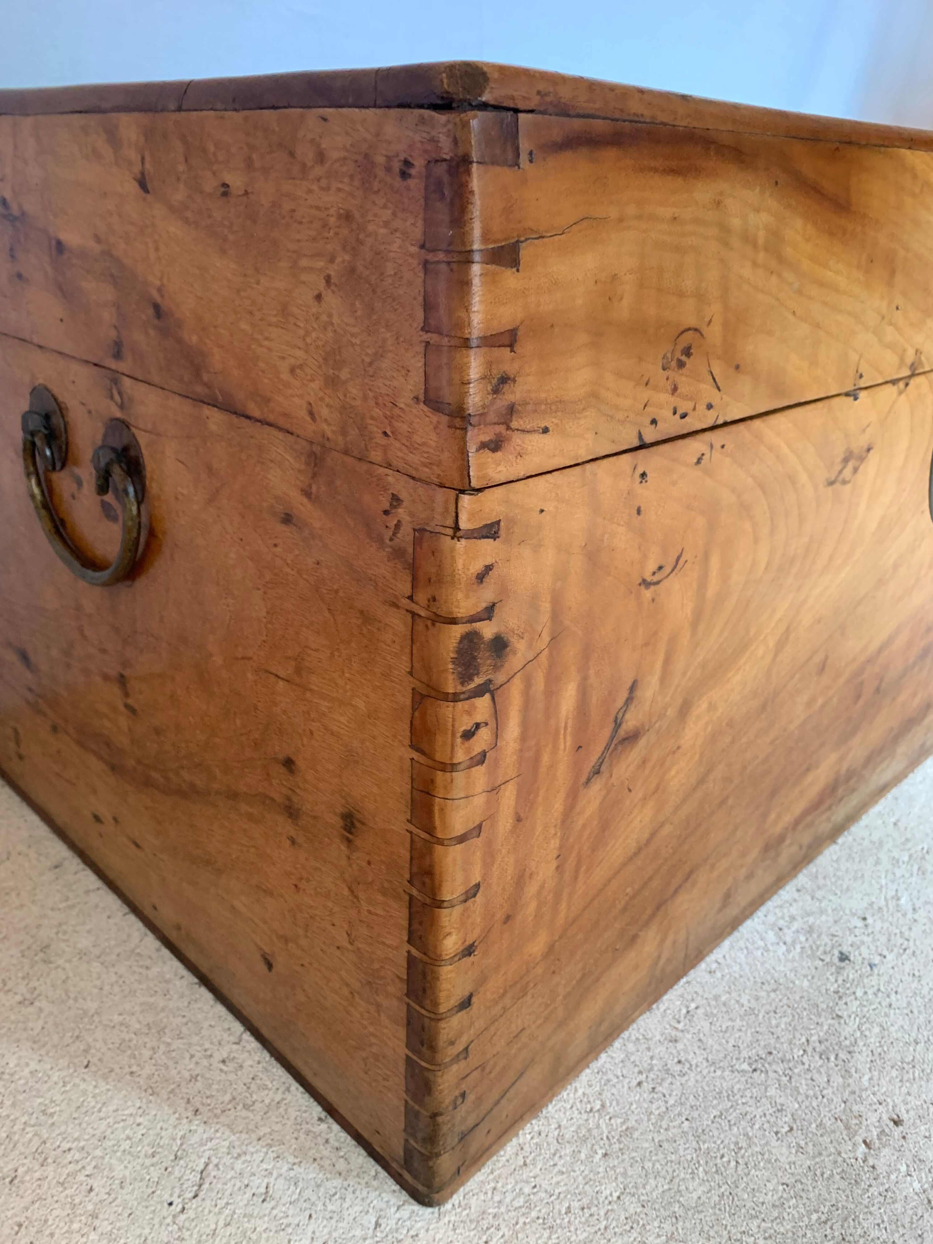 Chinese box in camphrier