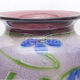 Vase Murano Giulio Radi